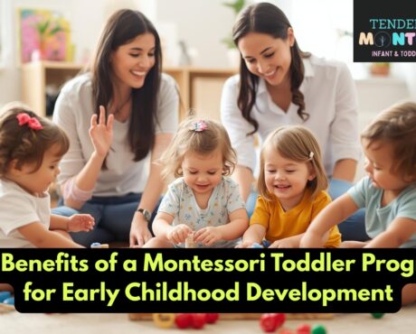 Montessori toddler program – Tender Tree Montessori Edmonton